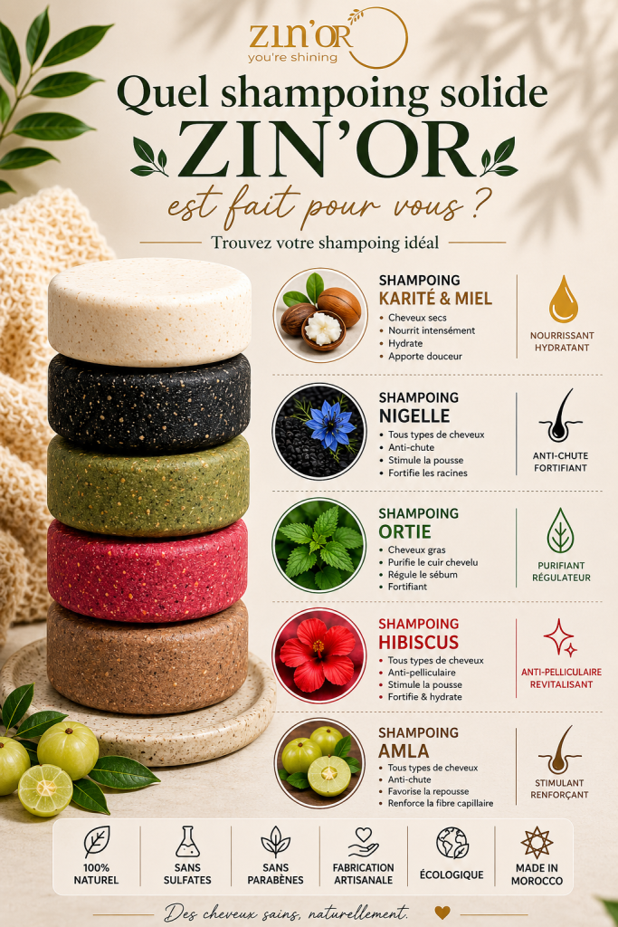 Collection de shampoings solides naturels ZIN’OR